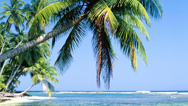 日中メールしてくる男性は、仕事してない？