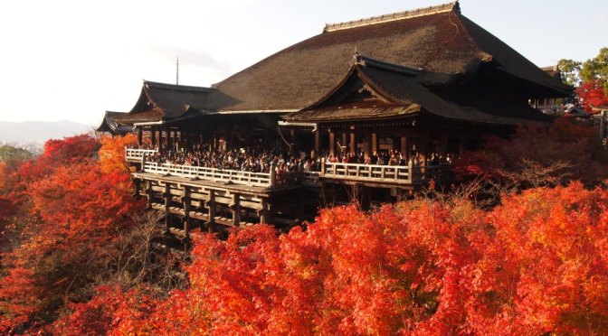 関西在住の方がご入会されました！