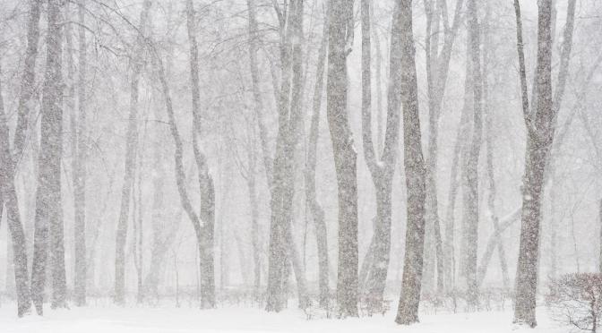 雪でも、デートする？
