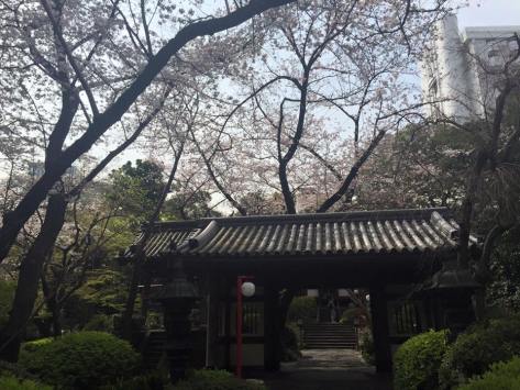 12932696_824905984281646_4439775203897132066_n