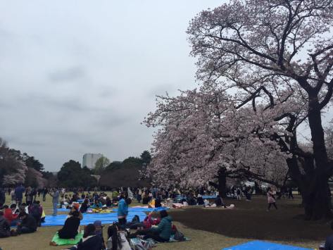 1929821_825103977595180_2471087987461144018_n