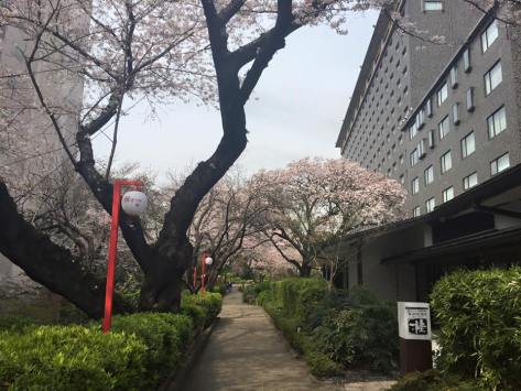 22399_824905960948315_5189571875156462597_n