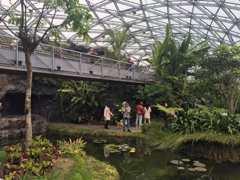 8282_825103987595179_3549174470613808054_n