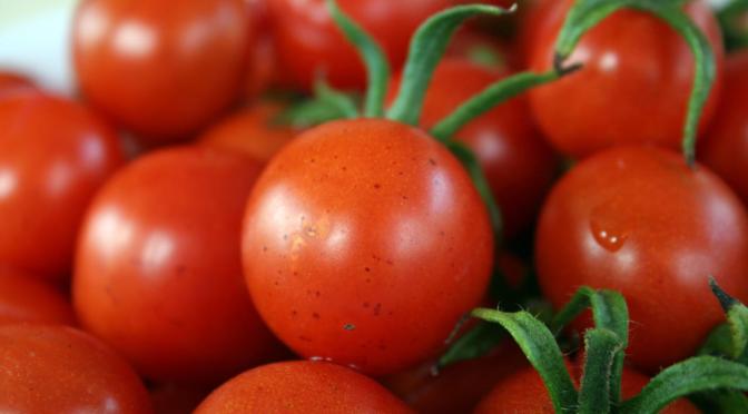 得意料理はアマトリチャーナ