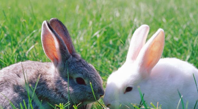 【20代女性・成婚秘話②】スタバより、ベンチで缶コーヒーのデートが好み？